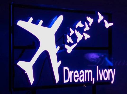 Custom LED Neon Signs, Los Angeles in Los Angeles by Neon Flamingo — example 9