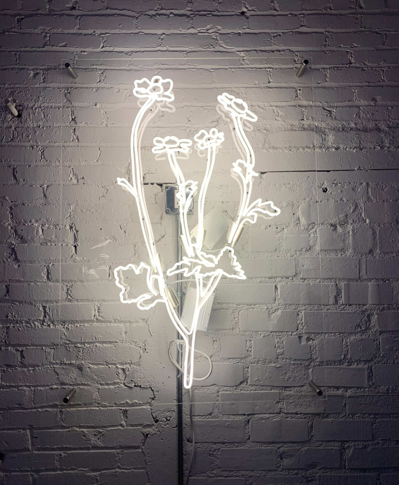 Interior Designer Collaborations — photo 4