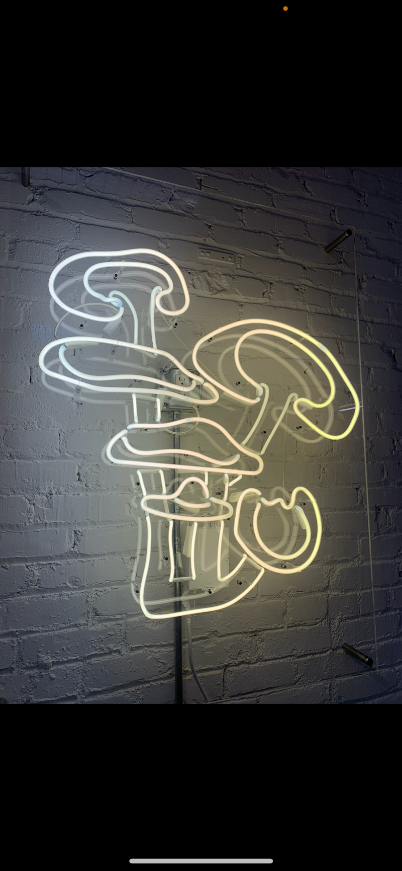 Custom Neon Signs, Los Angeles in Los Angeles by Neon Flamingo — example 13