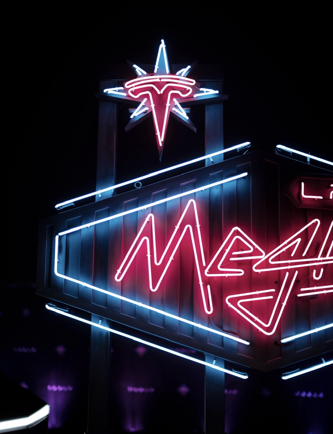 Las Megas Neon Sign — photo 9