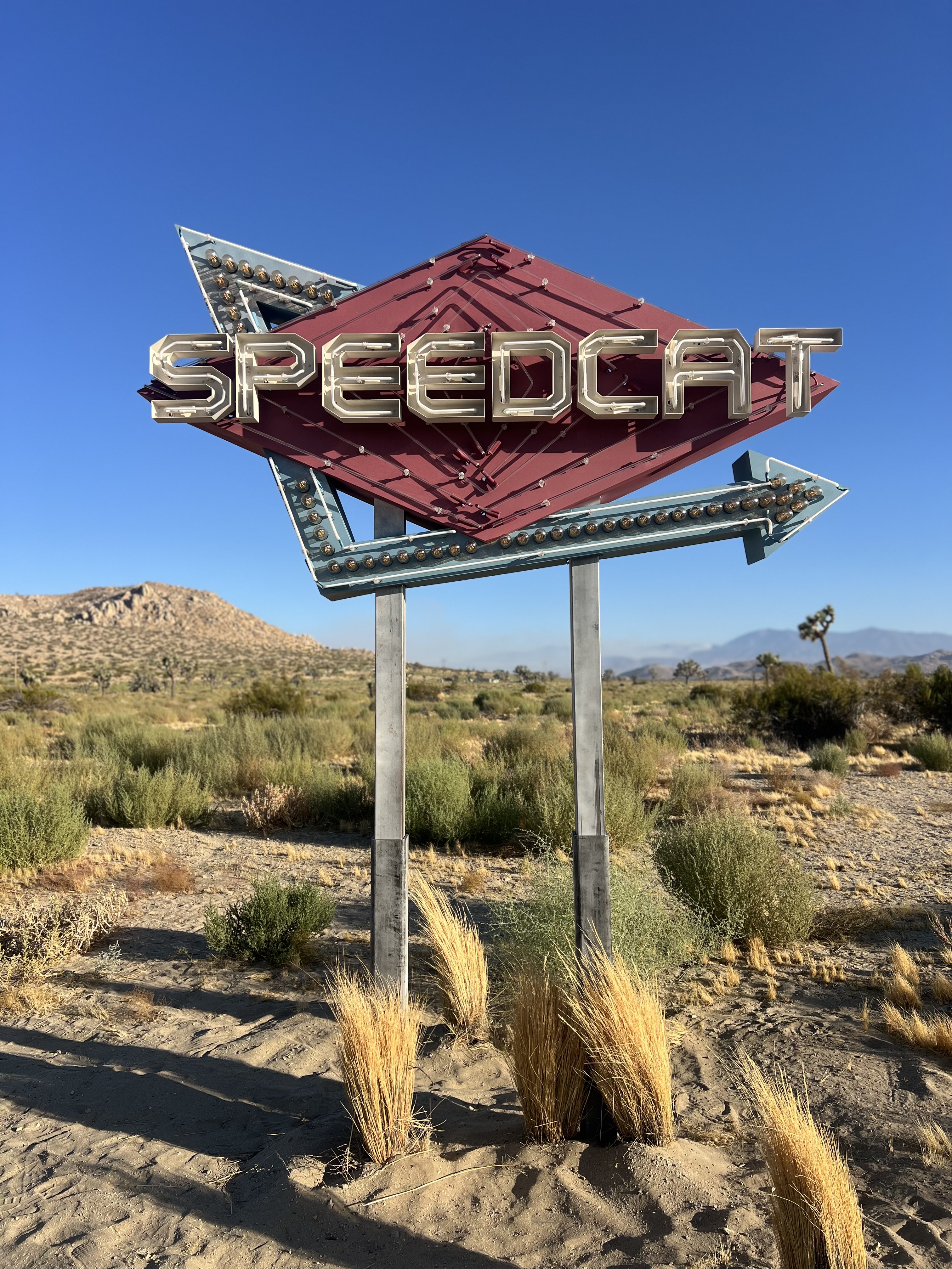 Puma & Rose Speedcat Neon Sign — photo 2