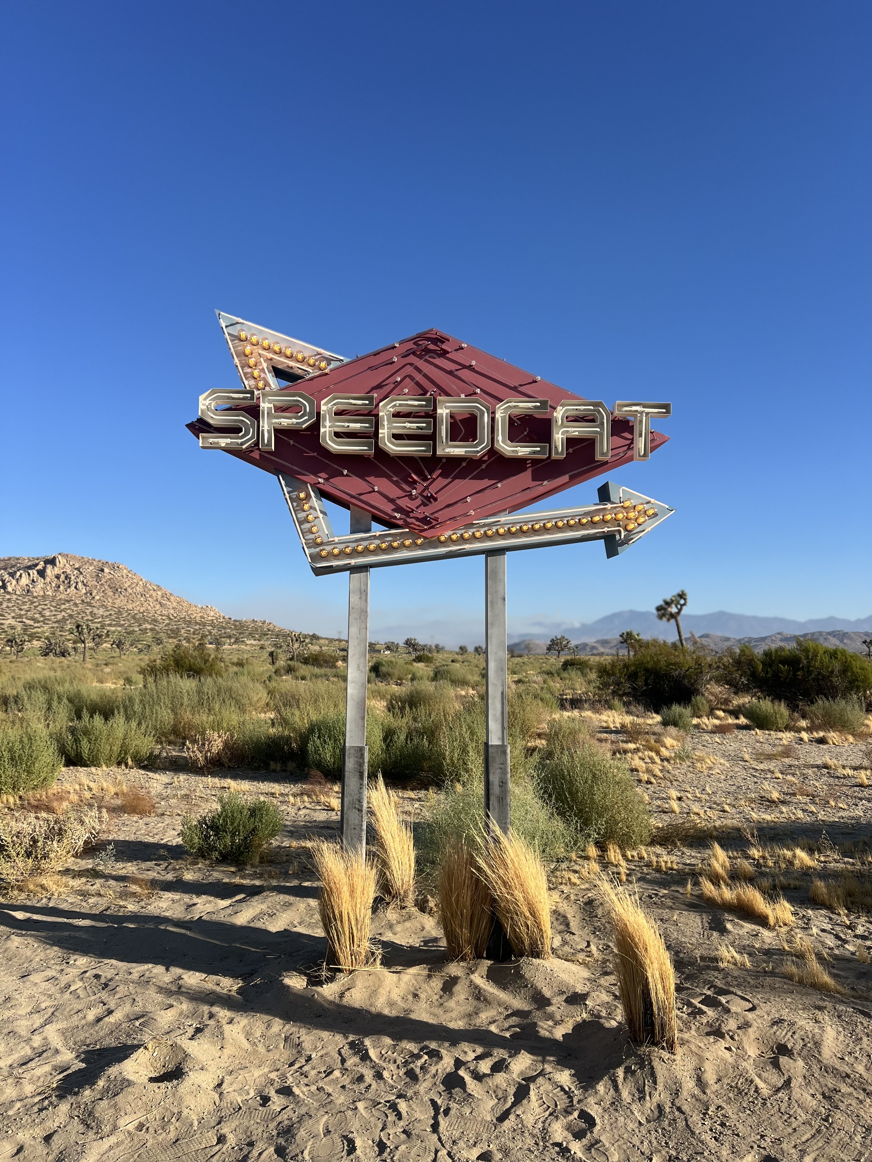 Puma & Rose Speedcat Neon Sign — photo 13