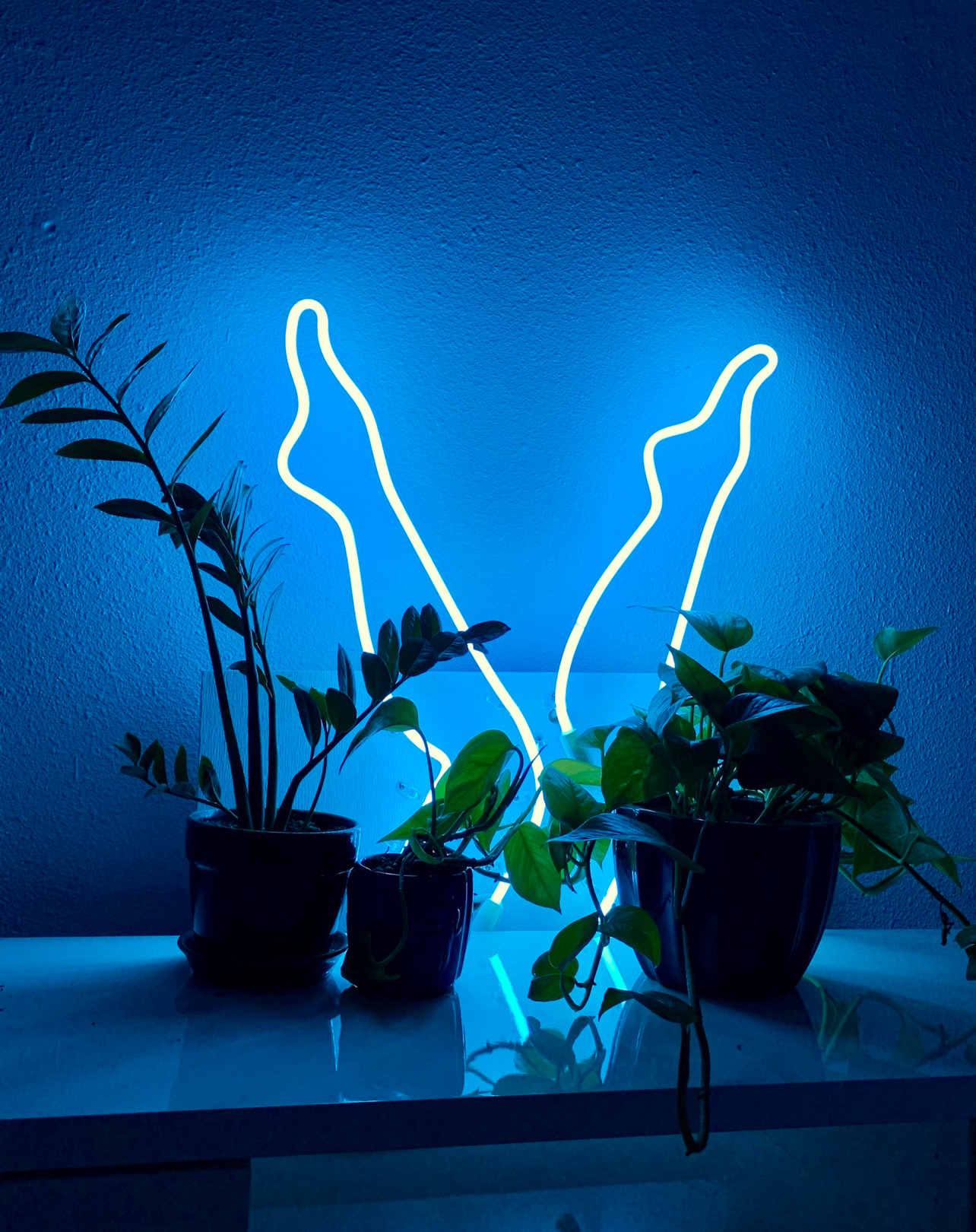 Home Decor Neon Signs in Los Angeles by Neon Flamingo — example 8